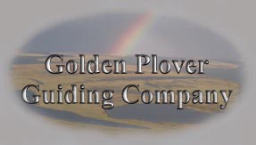 Golden Plover Guiding Company